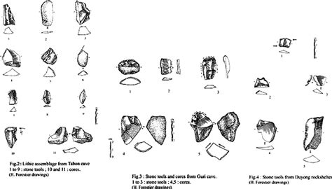 duyong cave betel nut